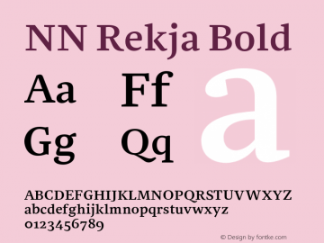NN Rekja Bold Version 1.0 Font Sample