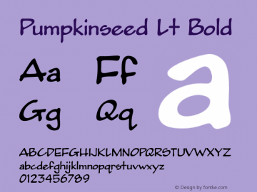 Pumpkinseed Lt Bold Version 2.003图片样张