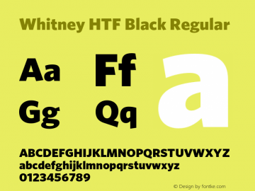 Whitney HTF Black Regular 001.000图片样张