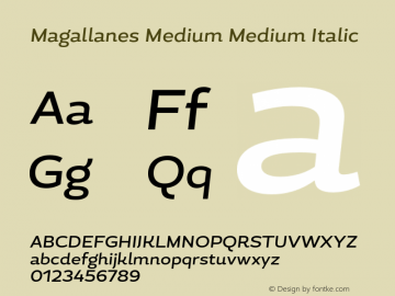 Magallanes Medium Medium Italic 1.000图片样张