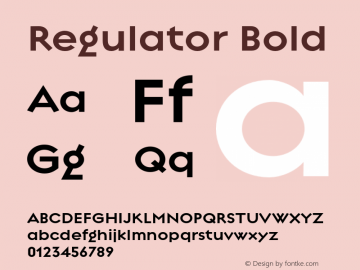 Regulator Bold 001.000 Font Sample