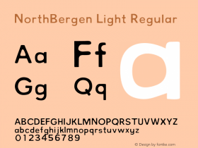 NorthBergen Light Regular 001.000图片样张