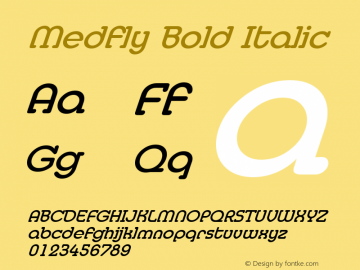 Medfly Bold Italic The WSI-Fonts Professional Collection Font Sample