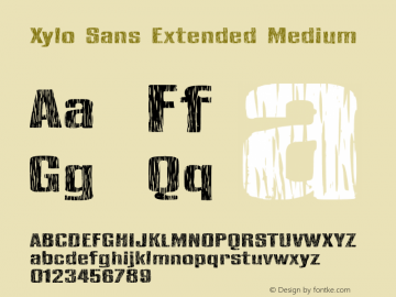 Xylo Sans Extended Medium Version 001.000 Font Sample