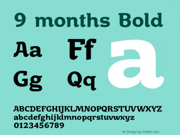 9 months Bold Version 1.000 Font Sample