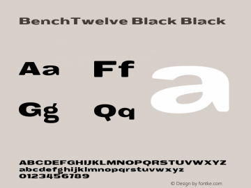 BenchTwelve Black Black Version 1 ; ttfautohint (v0.91) -l 8 -r 50 -G 50 -x 0 -w 