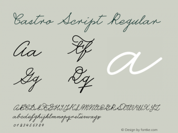 Castro Script Regular Version 1.000 Font Sample