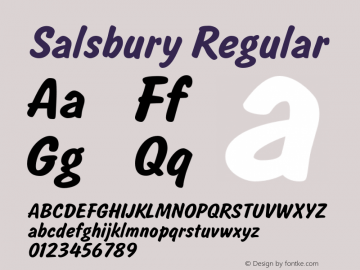 Salsbury Regular Version 1.000 2006 initial release图片样张