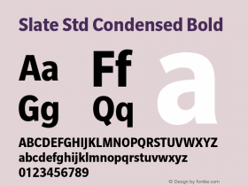 Slate Std Condensed Bold Version 1.000 Font Sample