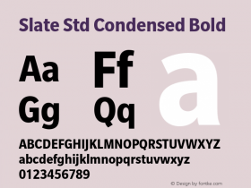 Slate Std Condensed Bold Version 1.000图片样张