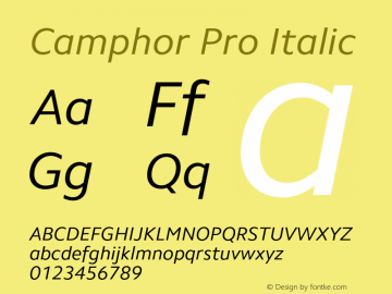 Camphor Pro Italic Version 1.100 Font Sample