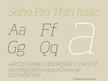 Soho Pro Thin Italic Version 1.000图片样张