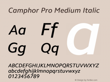 Camphor Pro Medium Italic Version 1.100图片样张
