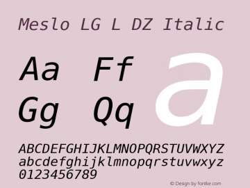 Meslo LG L DZ Italic 1.200图片样张