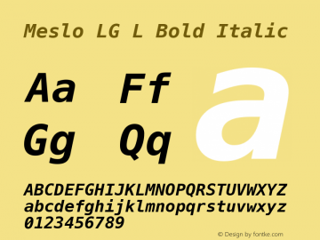 Meslo LG L Bold Italic 1.200图片样张