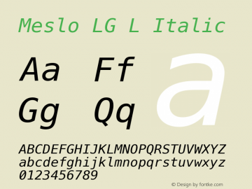 Meslo LG L Italic 1.210 Font Sample