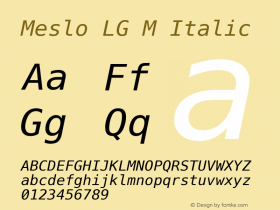 Meslo LG M Italic 1.210 Font Sample