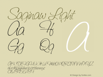 Saginaw Light Macromedia Fontographer 4.1 15.04.02图片样张