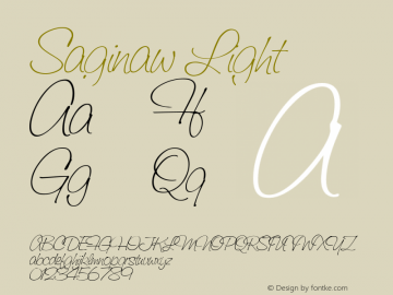 Saginaw Light Macromedia Fontographer 4.1 15.04.02图片样张