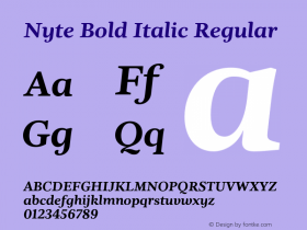 Nyte Bold Italic Regular Version 1.030;PS 001.030;hotconv 1.0.70;makeotf.lib2.5.58329 Font Sample