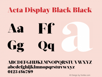 Acta Display Black Black Version 1.000图片样张