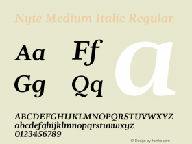 Nyte Medium Italic Regular Version 1.030;PS 001.030;hotconv 1.0.70;makeotf.lib2.5.58329 Font Sample