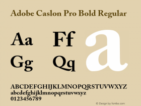 Adobe Caslon Pro Bold Regular Version 2.096;PS 2.000;hotconv 1.0.70;makeotf.lib2.5.58329图片样张