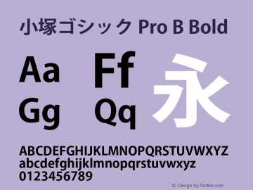 小塚ゴシック Pro B Bold Version 4.015;PS 4.004;hotconv 1.0.70;makeotf.lib2.5.58329图片样张