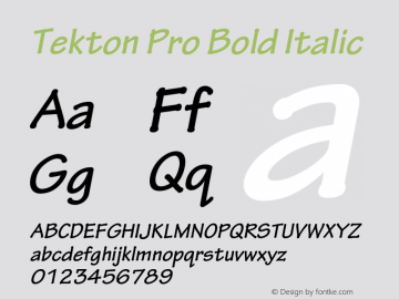 Tekton Pro Bold Italic Version 2.073;PS 2.000;hotconv 1.0.70;makeotf.lib2.5.5900 Font Sample