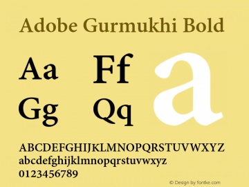 Adobe Gurmukhi Bold Version 1.010;PS 1.005;hotconv 1.0.70;makeotf.lib2.5.5900 Font Sample