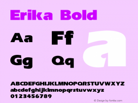 Erika Bold 001.000 Font Sample