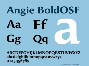 Angie BoldOSF Version 001.000 Font Sample