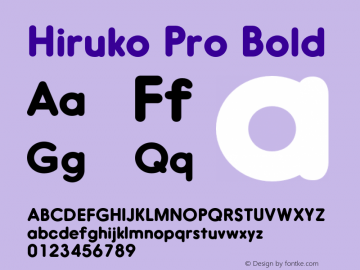 Hiruko Pro Bold Version 1.001图片样张