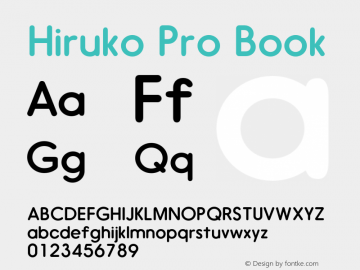 Hiruko Pro Book Version 1.001图片样张