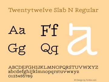 Twentytwelve Slab N Regular Unknown图片样张
