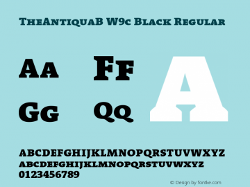 TheAntiquaB W9c Black Regular Version 1.72图片样张