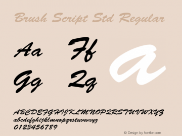 Brush Script Std Regular Version 2.036;PS 002.000;hotconv 1.0.50;makeotf.lib2.0.16970 Font Sample