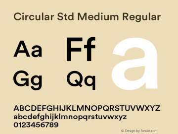 Circular Std Medium Regular Version 1.001; build 0002图片样张