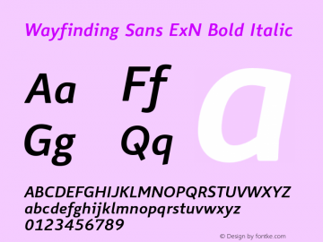 Wayfinding Sans ExN Bold Italic Version 1.100;PS 001.100;hotconv 1.0.56;makeotf.lib2.0.21325 Font Sample