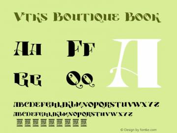 Vtks Boutique Book Version 1.00 January 2, 2013图片样张