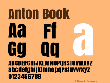 Anton Book Version 1.000图片样张