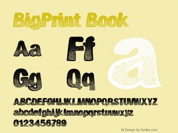 BigPrint Book Version 1.00 September 11, 2 Font Sample