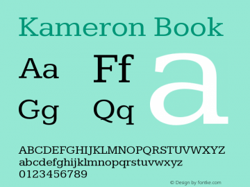 Kameron Book Version 1.000图片样张