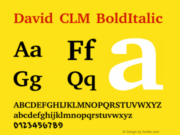 David CLM BoldItalic Version 0.120图片样张