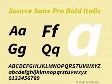 Source Sans Pro Bold Italic Version 1.038;PS 1.000;hotconv 1.0.70;makeotf.lib2.5.5900 Font Sample