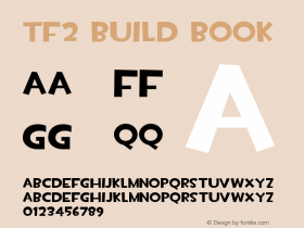 TF2 Build Book Version 1.000图片样张