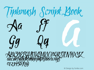 Tipbrush Script Book Version 001.000图片样张