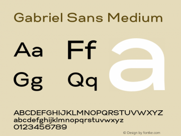 Gabriel Sans Medium Version 1.000图片样张