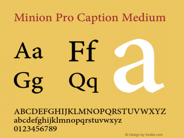 Minion Pro Caption Medium Version 2.030;PS 2.000;hotconv 1.0.51;makeotf.lib2.0.18671 Font Sample