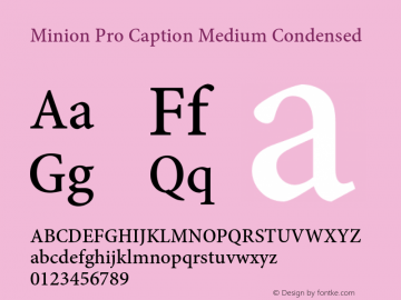 Minion Pro Caption Medium Condensed Version 2.030;PS 2.000;hotconv 1.0.51;makeotf.lib2.0.18671 Font Sample
